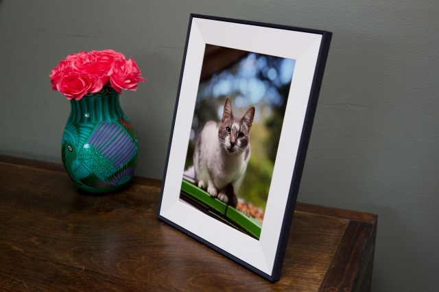 At 0.5 inches, Aspen’s bezel is slim enough to pass as a traditional photo frame, but the power cord and bright display give it away.