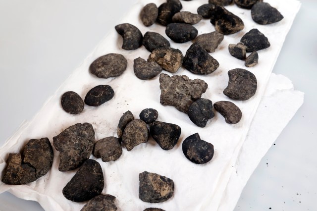Round nodules that look like rocks sit on a white surface.