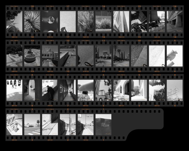 Once you are done with you digital roll of film, you can look over your contact sheet.