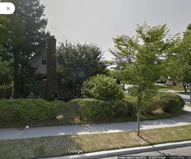 A suburban yard with trees and bushes, with a new tree on the periphery.