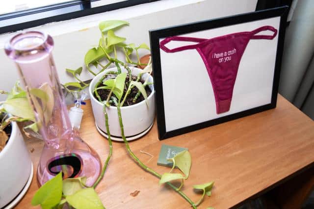 A pair of red thong underwear that reads “I have a crush on you” is framed on a wooden side table next to a small green vine plant and a pink glass bong with a particular sticker on the side.