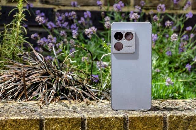 Photo of the Sony Xperia 1 VIII sitting on a brick ledge in front of flowers, showing the rear