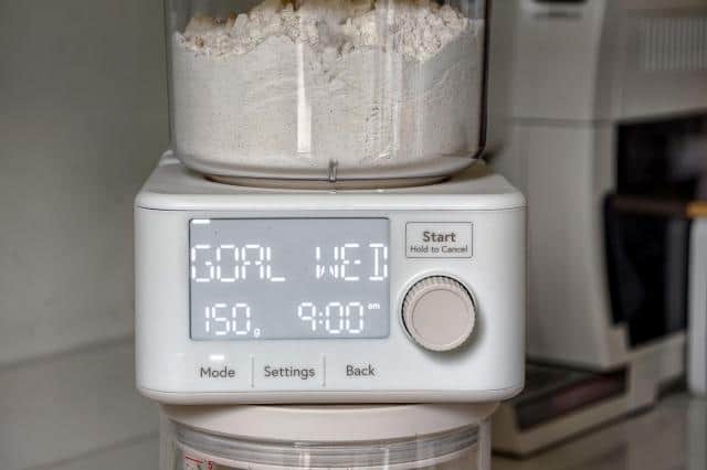 Photo of the Sourdough Sidekick on a kitchen counter showing the goal date and weight on the screen