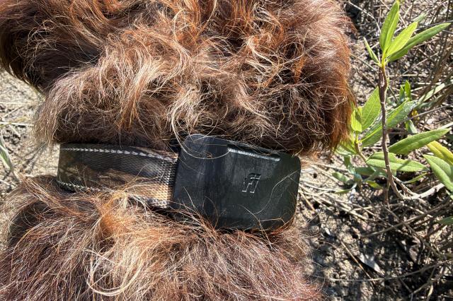 The Fi Ultra is slim and lightweight, but much wider than any other tracker I’ve tested.