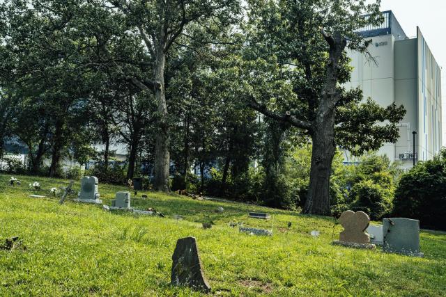 A data center peeks out from behind the trees outside Tippett’s Hill Cemetery.