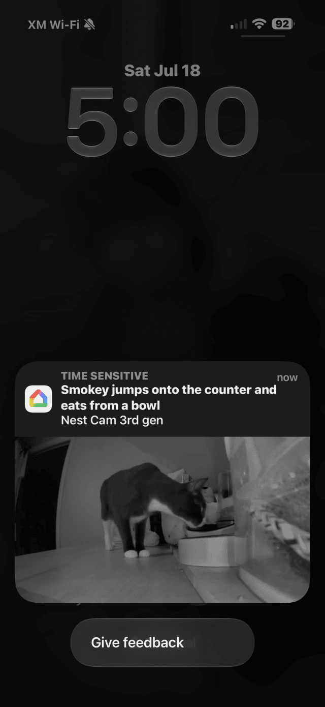 The cats were a big fan of Google Home’s inability to tell them apart, as it meant more kibble. (This is not Smokey).