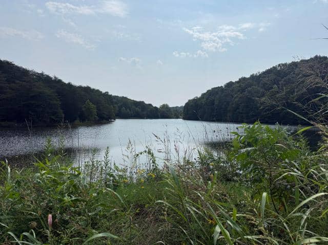 The river near Laura Lin’s house in Lanesville, Indiana, flooded after a recent rain. New technology could provide residents with quicker warnings when the threat arises.