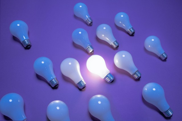 One of 14 incandescent lightbulbs lit on purple surface