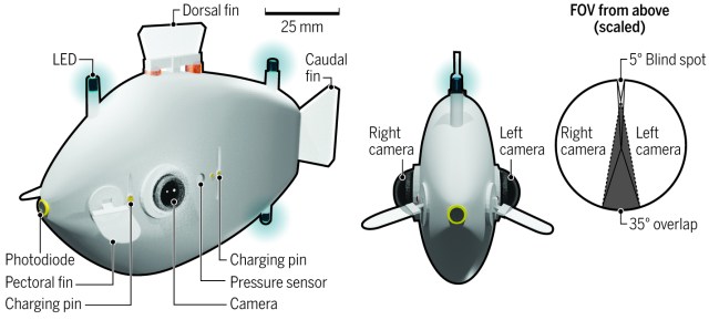 Diagram of a fish-shaped robot