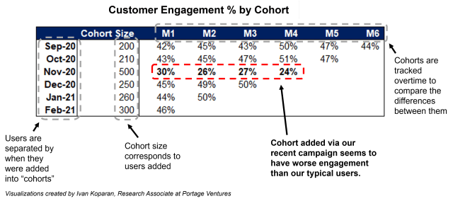 Customer engagement by cohort