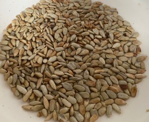 Sałatka słonecznik - A98C2626 9EC9 42BB 9B6A 2AE4873E872F