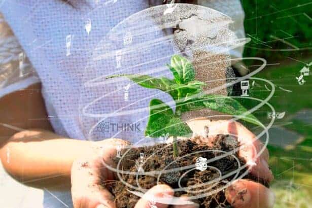 Mejores Apps para Identificar Plantas Basadas en IA