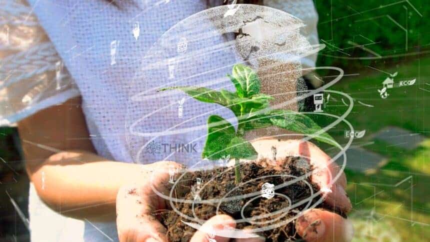 Mejores Apps para Identificar Plantas Basadas en IA