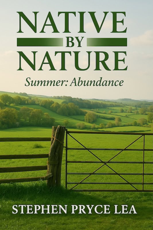 Summer Abundance