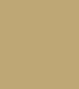 Hickory-Gold