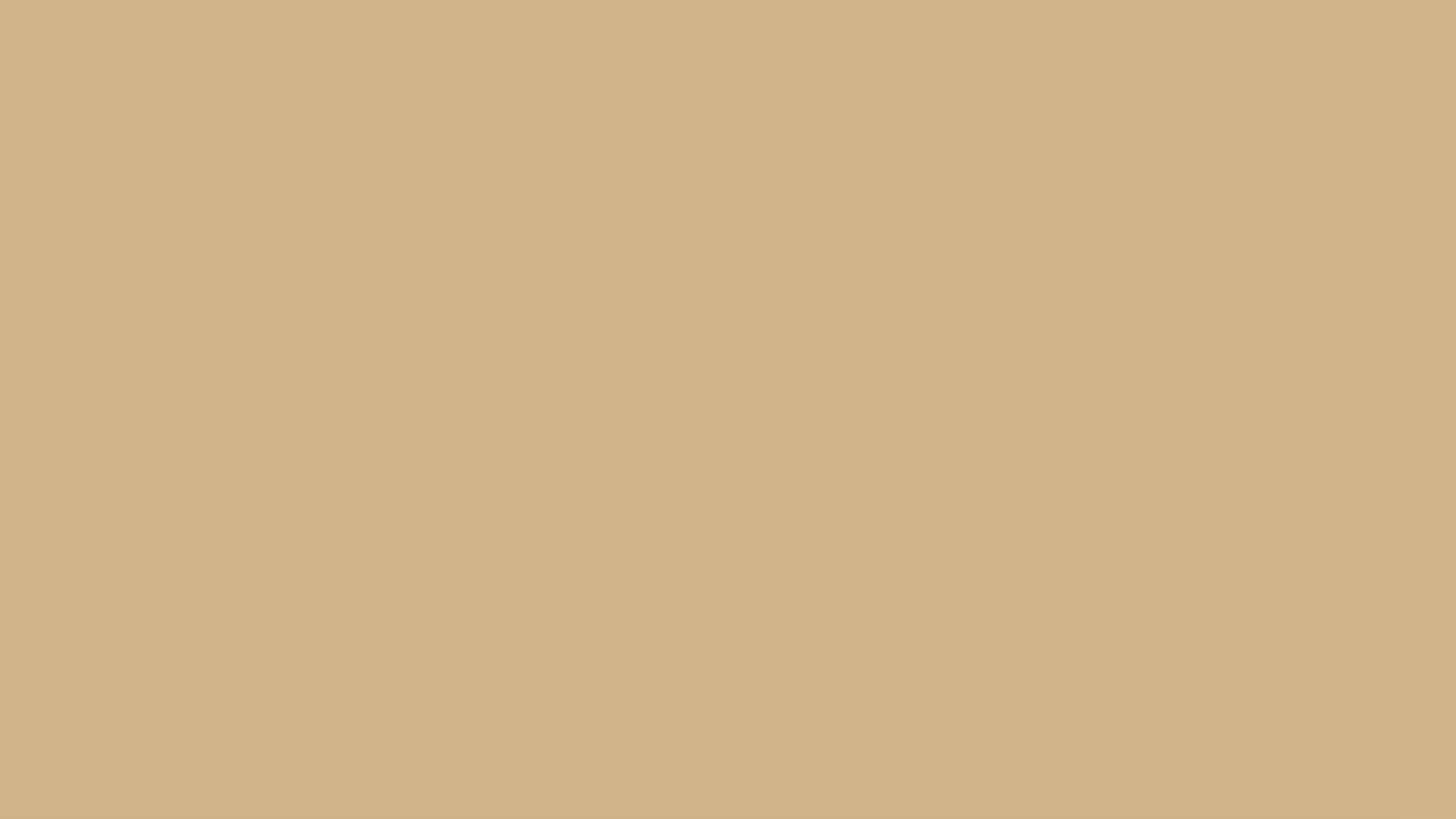 Ivory-Tortoise