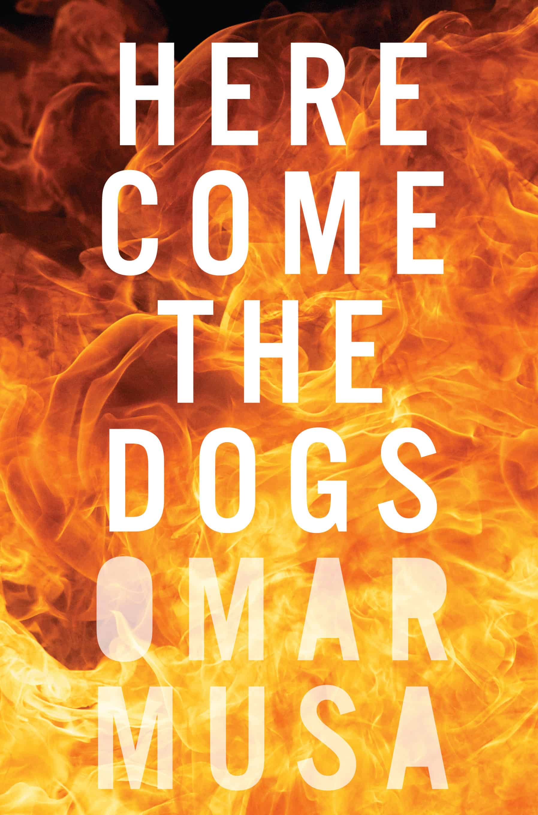herecomethedogs