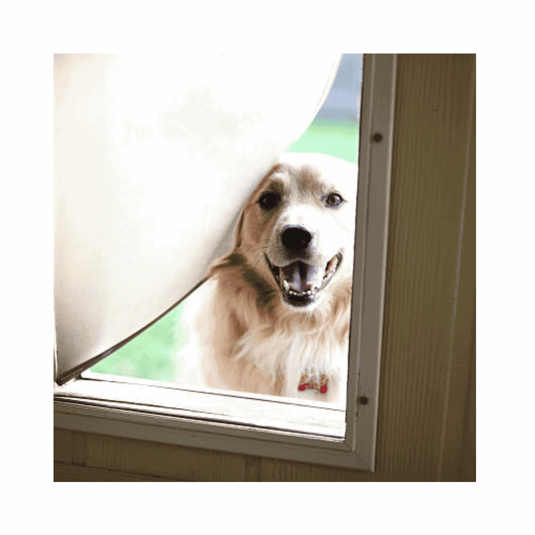 Doggie Door Repair In Annapolis Md Expert Door Repair Services In Annapolis, Md