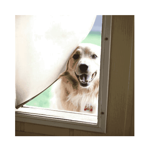 Dog Is Happy In His Doggie Door Repaired By King Locksmith In Germantown Md
