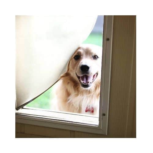 Dog Is Happy In His Doggie Door Repaired By King Locksmith In Burtonsville Md