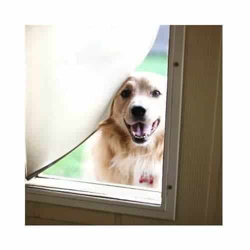 Doggie Door Repair In Clarksville Md Dog Is Happy In His Doggie Door Repaired By King Locksmith In Clarksville Md