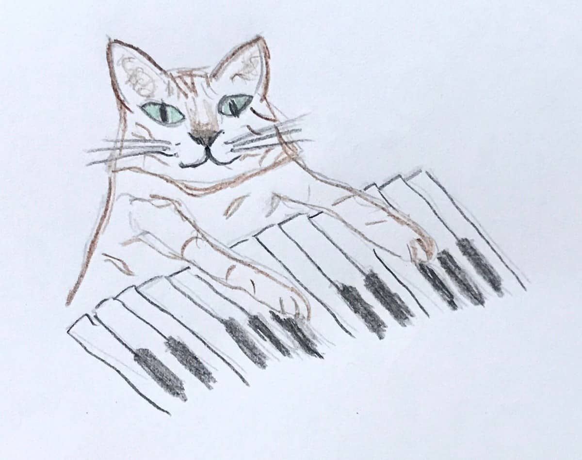 Cat with a light touch