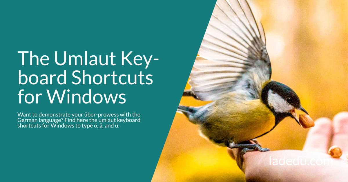 The Umlaut Keyboard Shortcuts for Windows
