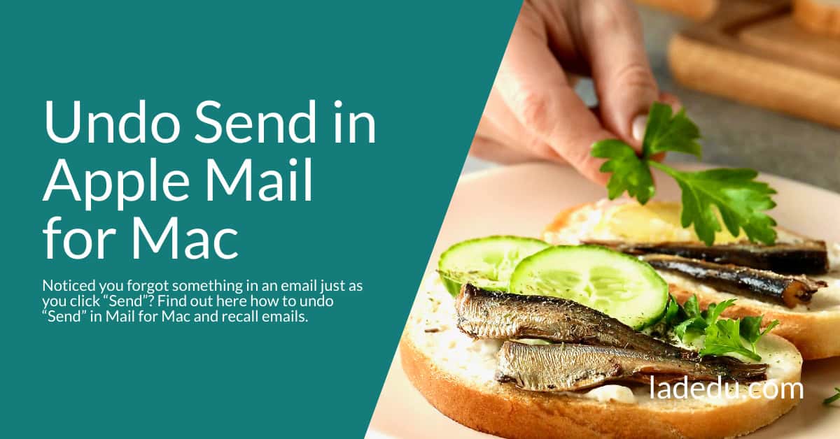How to Unsend an Email in Apple Mail for Mac