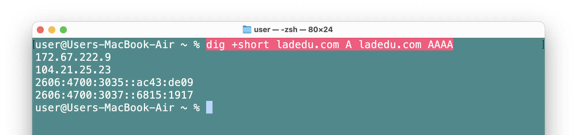 Look up a domain’s IP address using dig on a Mac