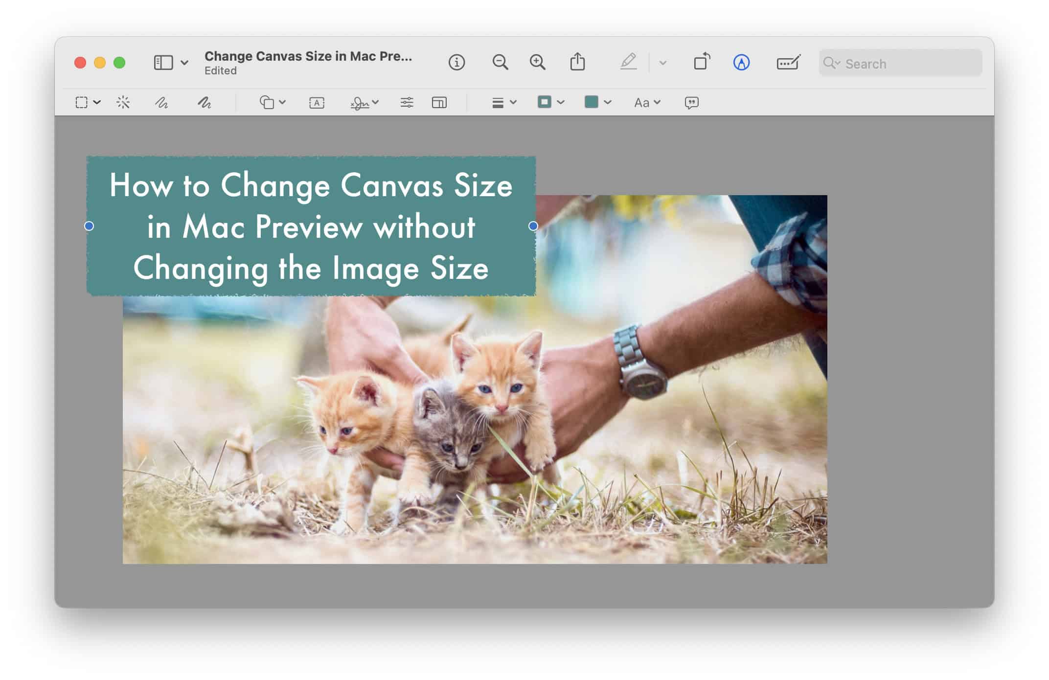 Add new elements beyond the original image borders on the expanded canvas in Preview