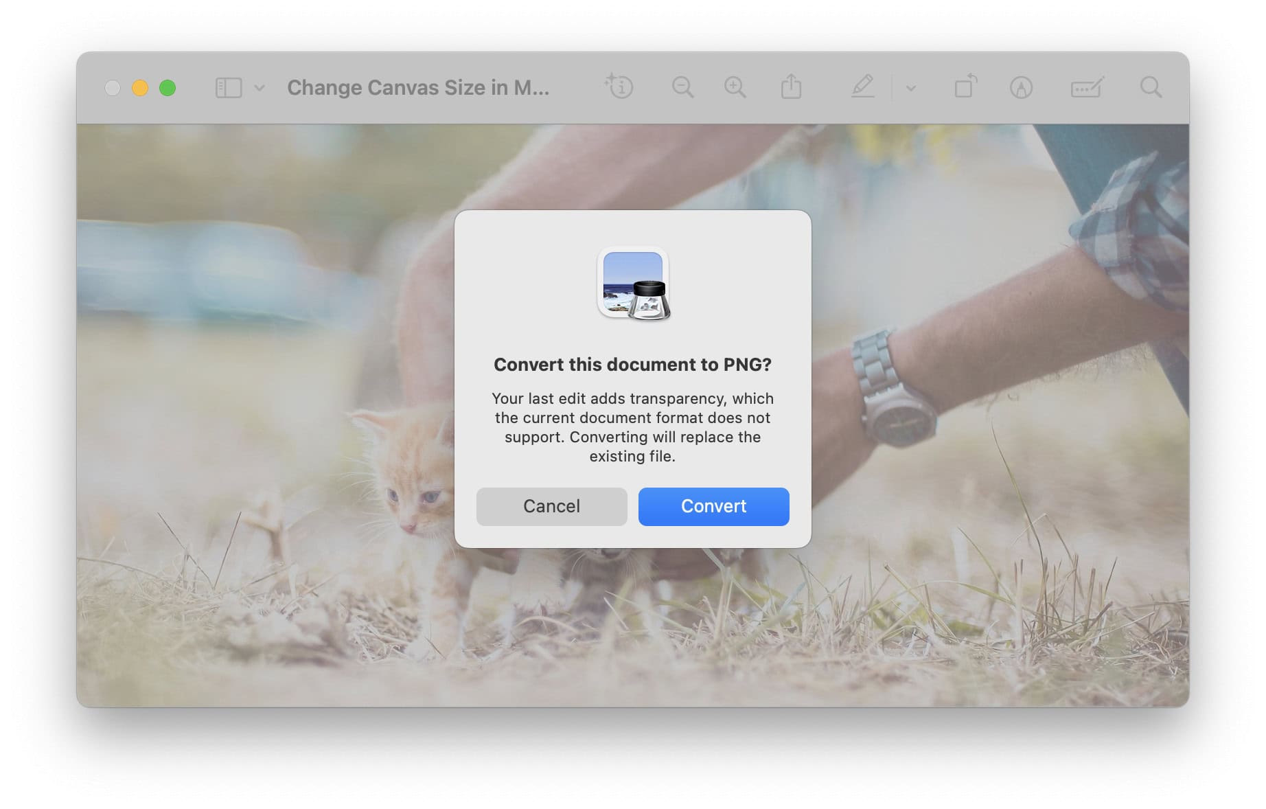 Convert an image to PNG to expand its canvas with translucency