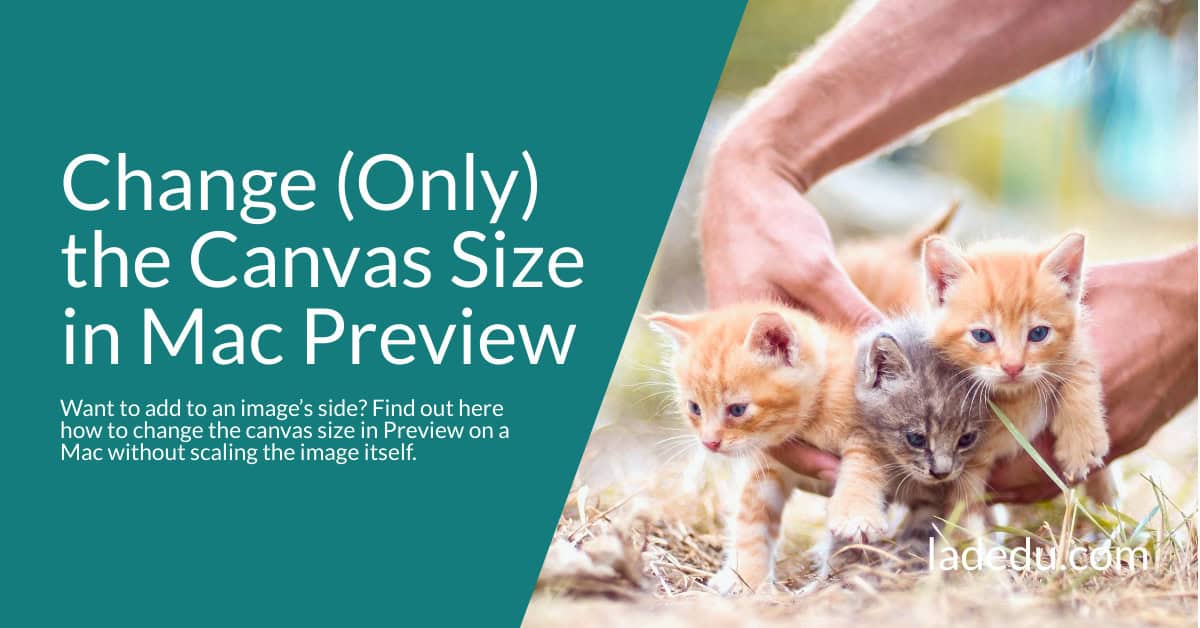How to Change Canvas Size in Mac Preview without Changing the Image Size