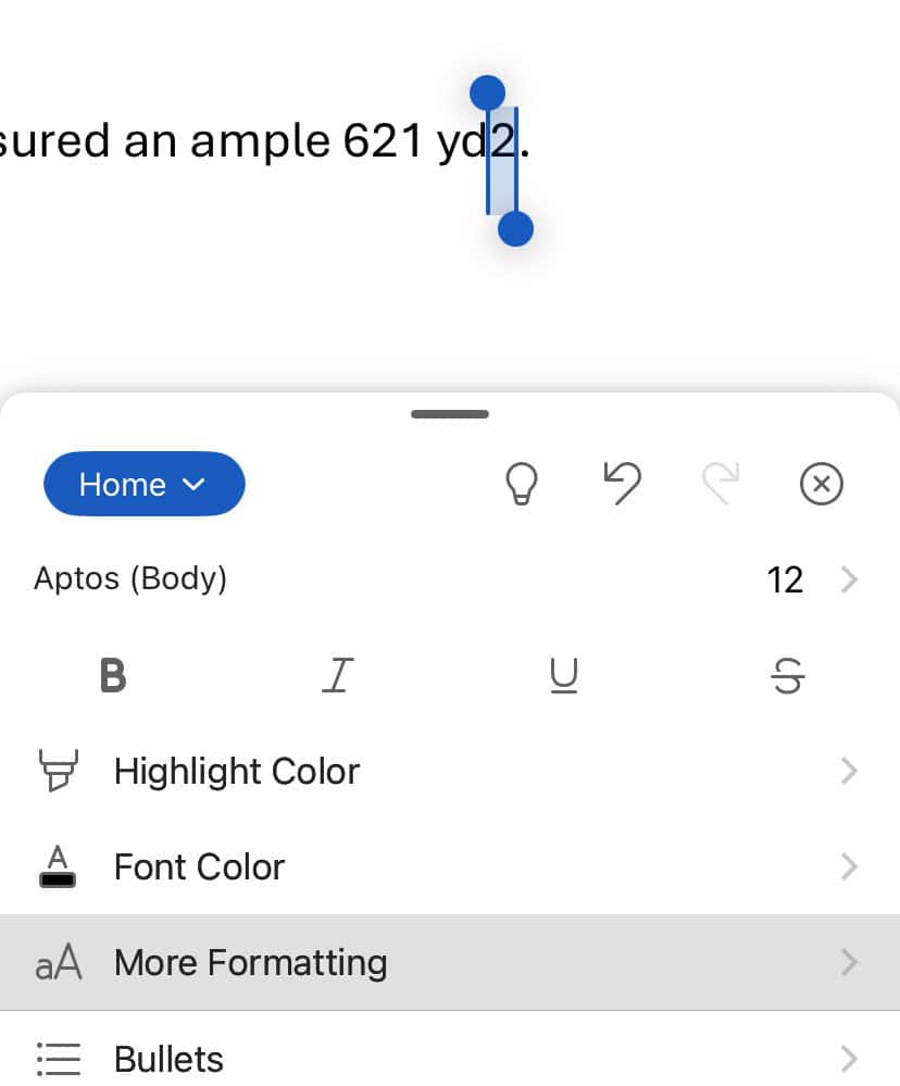 Select “More Formatting” in the “Home” section