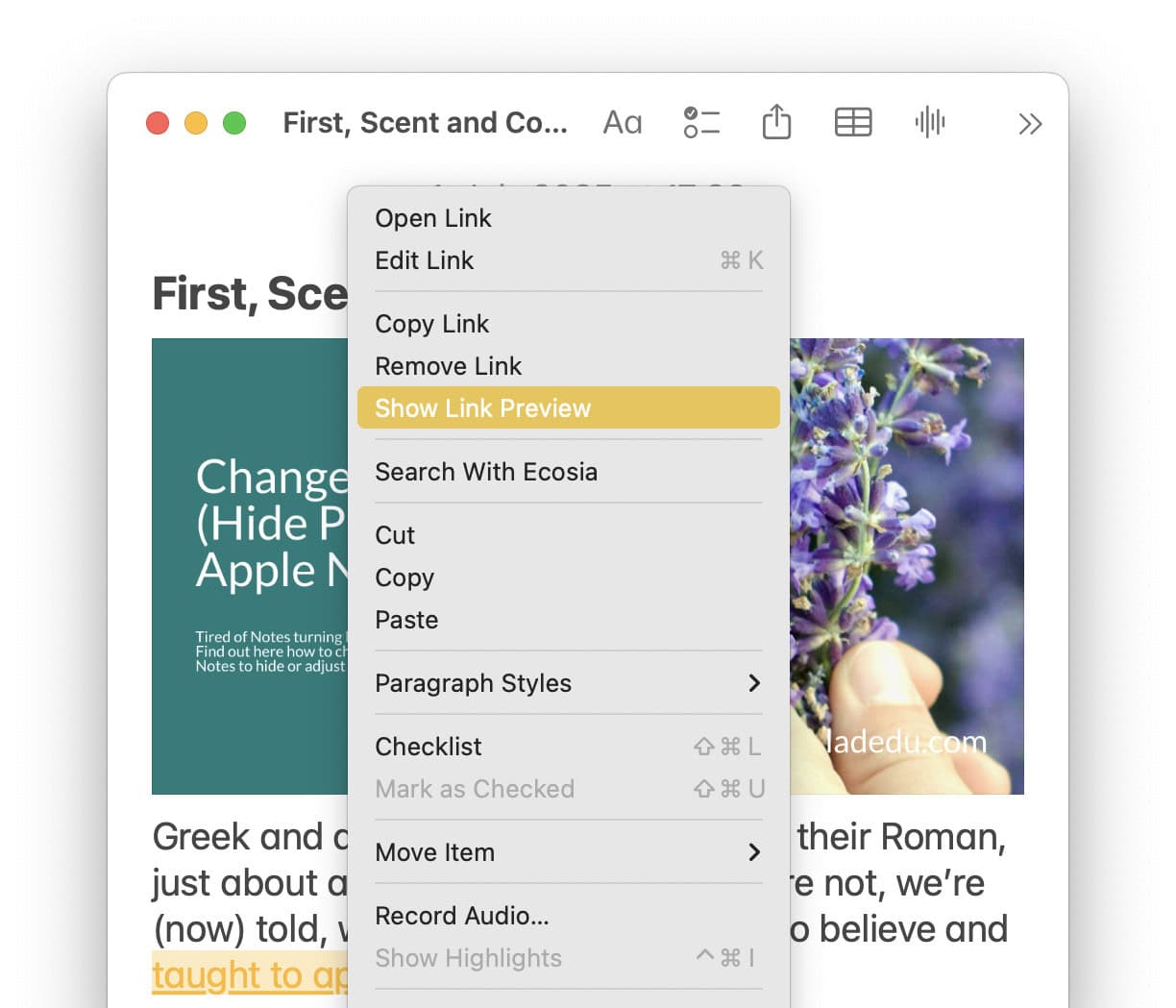 Add a headline and preview image to a link in Apple Notes for Mac