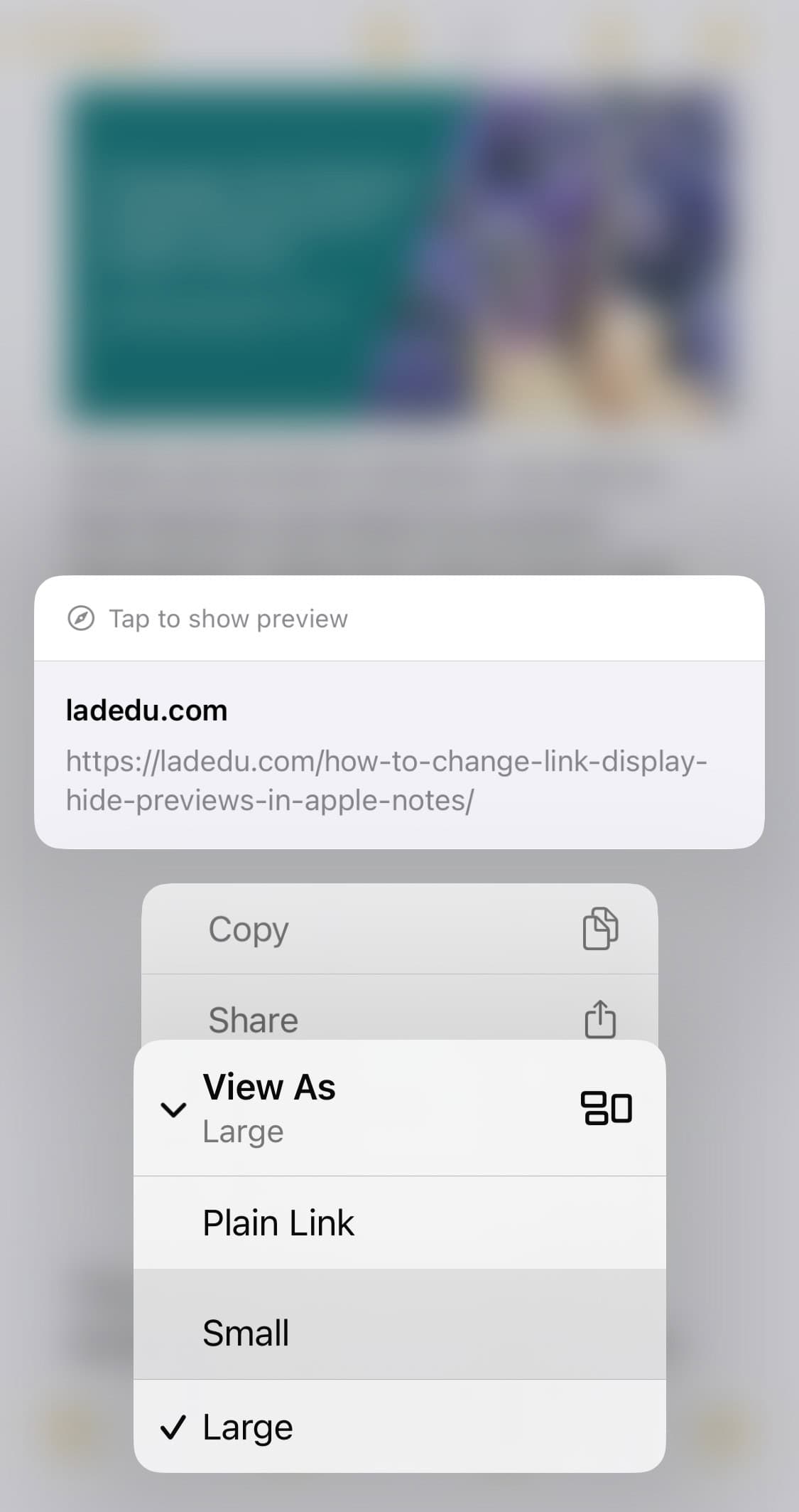 Changing a link to a smaller preview in Apple Notes for iPhone