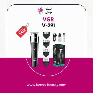 VGR V-291