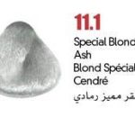 ⁦11.1 اشقر مميز رمادي colorray⁩ - الصورة ⁦2⁩