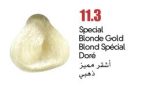 ⁦11.3 اشقر مميز دهبي colorray⁩ - الصورة ⁦2⁩