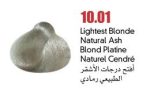 ⁦10.01 افتح درجات الاشقر الطبيعى رمادى colorray⁩ - الصورة ⁦2⁩