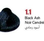 ⁦1.1 اسود رمادى COLORAY⁩ - الصورة ⁦2⁩