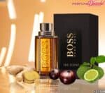 ⁦برفان بوص ذا سنت z⁩ - الصورة ⁦4⁩