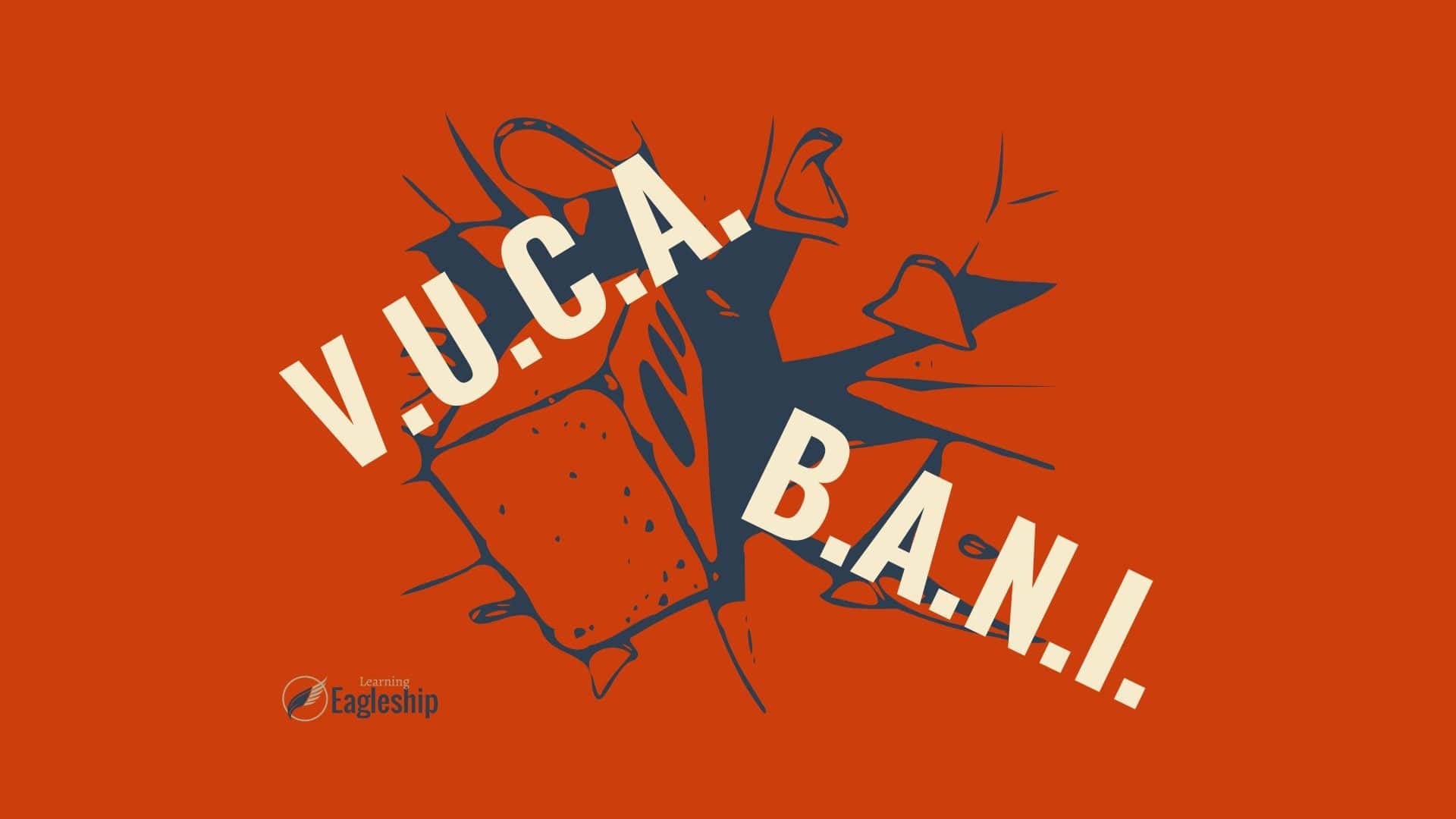 V.U.C.A B.A.N.I