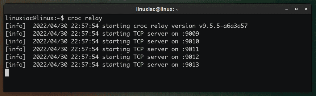 Setting up own Croc relay server