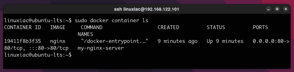 Nginx Docker Container