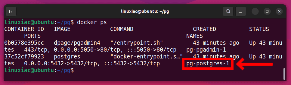 Finding the name of the Docker container.