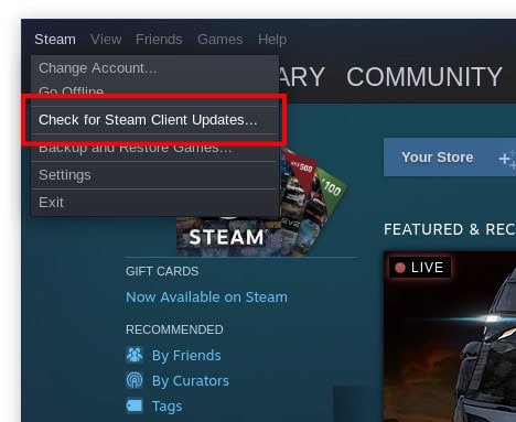 Steam Client Check for Updates