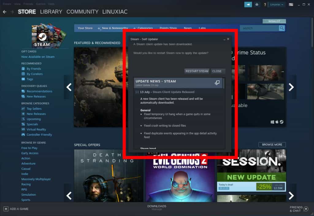 Steam Client on Linux