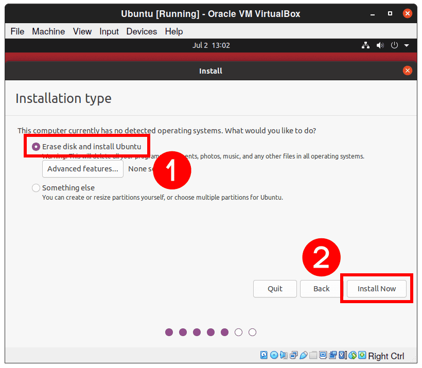 Ubuntu Installation Type