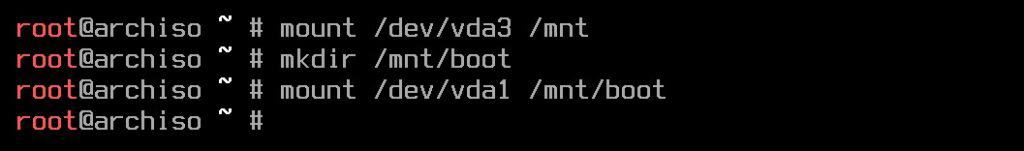 Mounting the root and EFI partitions.