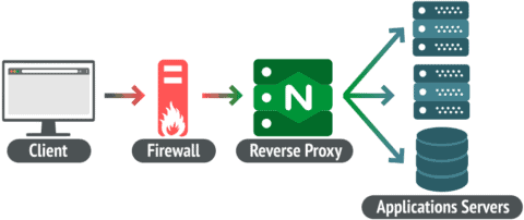 Reverse Proxy With Nginx: A Step-by-Step Setup Guide